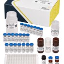ABRAXIS® Patulin, ELISA, 96-test