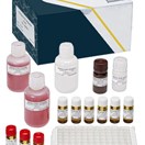 SENSISpec Tetracycline ELISA