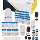 ABRAXIS® Patulin 1X6 ELISA, 96-test