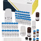 ABRAXIS® Patulin 1X6 ELISA, 96-test ABRAXIS® Patulin 1X6 ELISA, 96-test