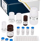 ABRAXIS® Dicamba, ELISA, 96-tests