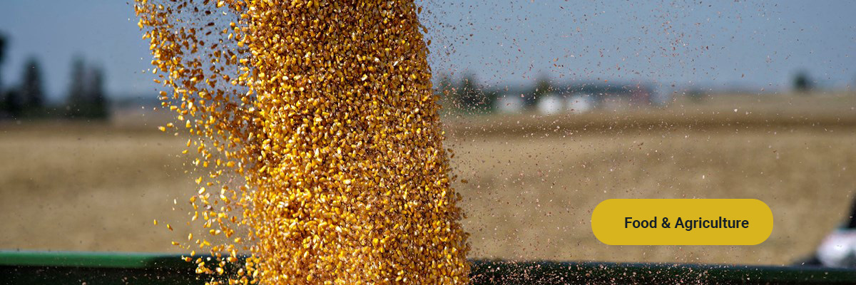 Food & Agriculture