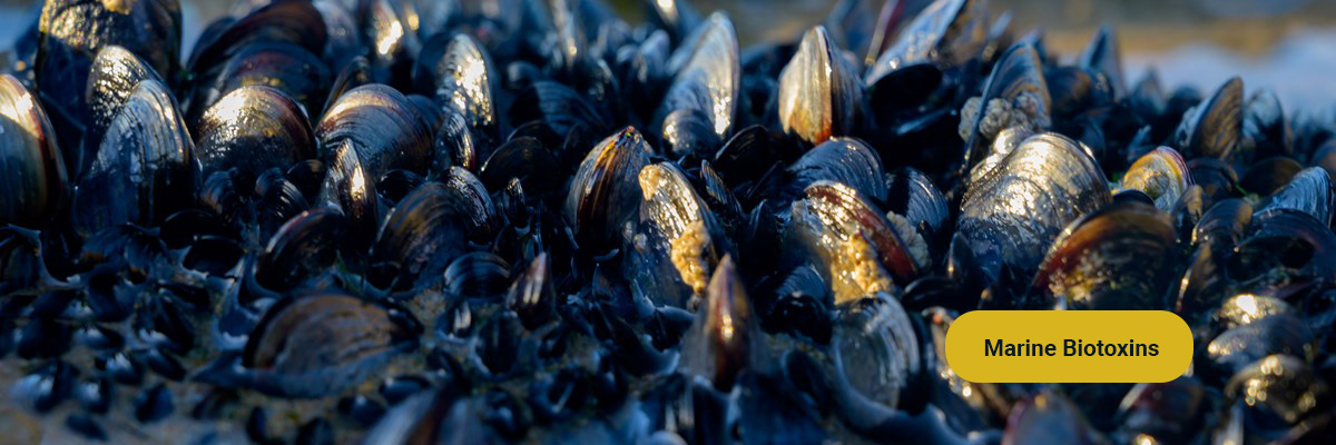 Marine Biotoxins