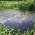 Algal Toxins Algal Toxins