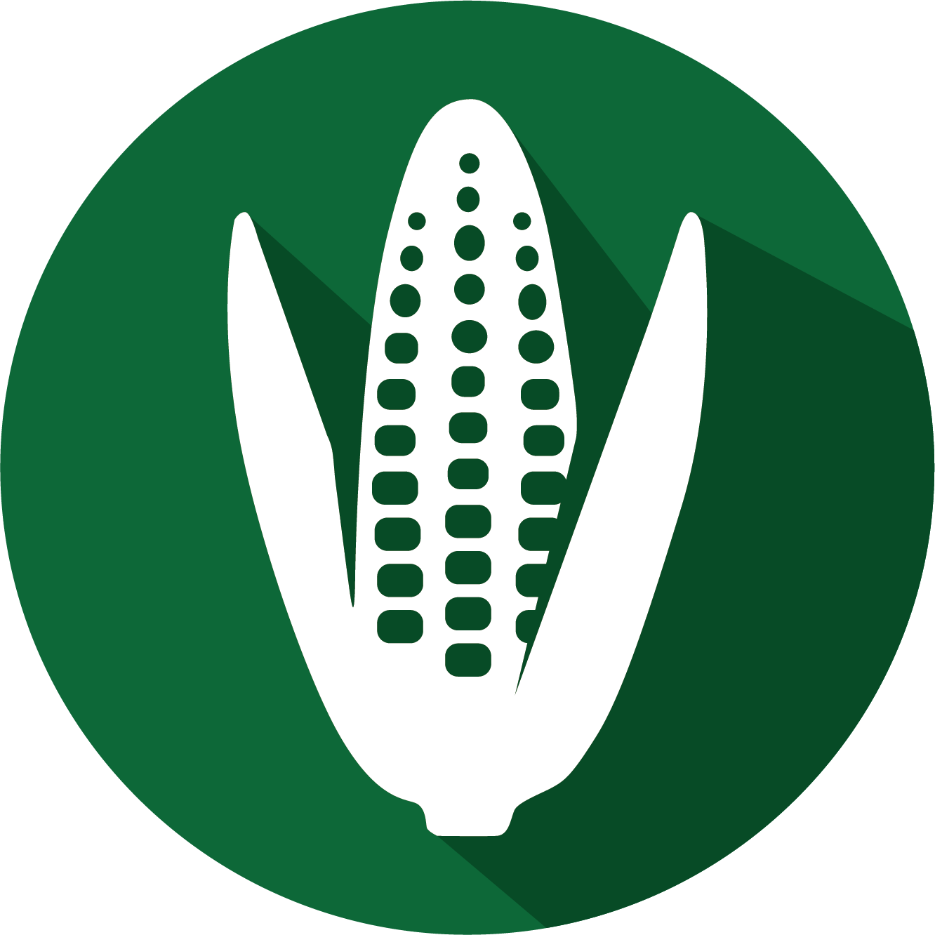 GMO Proteins & Antibodies