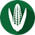 GMO Proteins & Antibodies