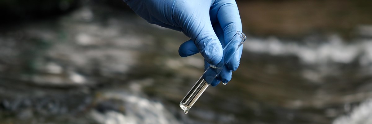 Environmental & Water Quality Environmental & Water Quality
