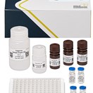ABRAXIS® Histamine, ELISA, 96-test
