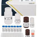 ABRAXIS® Sulfamethoxazole (SMX), ELISA, 96-test