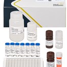 ABRAXIS® Enrofloxacin, ELISA, 96-test