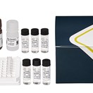 ABRAXIS® Phthalates, ELISA, 96-test