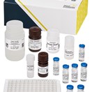 ABRAXIS® Imidacloprid/Clothianidin, ELISA, 96-test