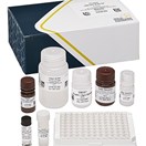 ABRAXIS® DDE/DDT, ELISA, 96-test