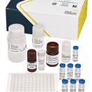 ABRAXIS® Okadaic Acid (DSP) (EC 2002/225 Compliant), ELISA, 96-test