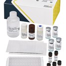Okadaic Acid (DSP), PP2A, Plate, 96-test