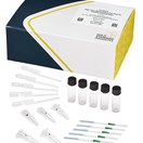 ABRAXIS®  Microcystins Dipstick, Finished Drinking Water, (up to 5 ppb), 5-test