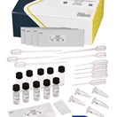 ABRAXIS®  Microcystins, 0-10(20) ppb, Recreational Water with QuikLyse® Feature, Dipstick, (EPA ETV), 5-test