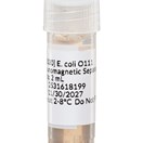 E. coli O111, Immunomagnetic Separation (IMS) Beads (2 mL)