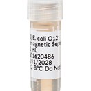 E. coli O121, Immunomagnetic Separation (IMS) Beads (2 mL)