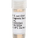 E. coli O145, Immunomagnetic Separation (IMS) Beads (2 mL)