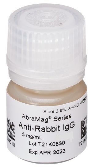 AbraMag® anti-Rabbit Magnetic Beads, 1 mL sample size, 5 mg/mL