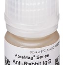 AbraMag® anti-Rabbit Magnetic Beads, 1 mL sample size, 5 mg/mL