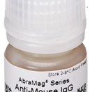 AbraMag® anti-Mouse Magnetic Beads, 1 mL sample size, 5 mg/mL