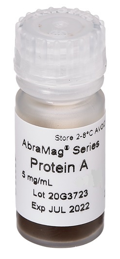 AbraMag® Protein A Magnetic Beads, 1 mL sample size, 5 mg/mL