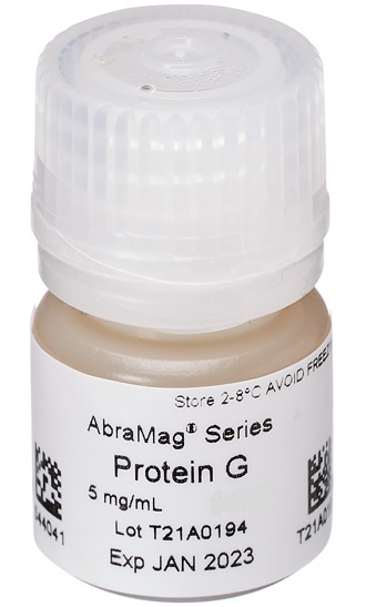 AbraMag® Protein G Magnetic Beads, 1 mL sample size, 5 mg/mL