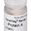 AbraMag® Protein A Magnetic Beads 2 mL, 5 mg/mL
