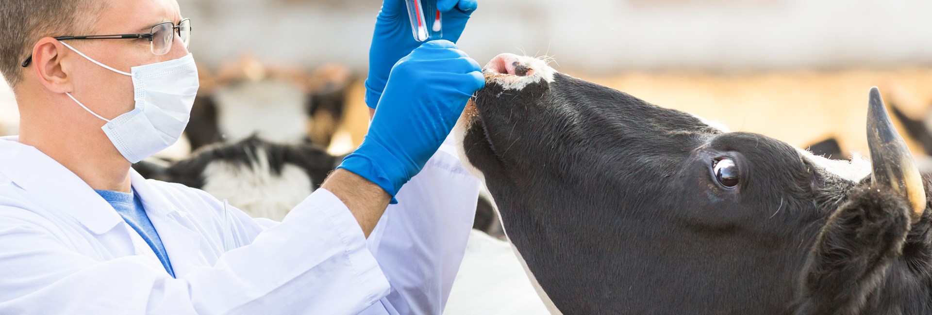 Veterinary Residues and Additives Veterinary Residues and Additives