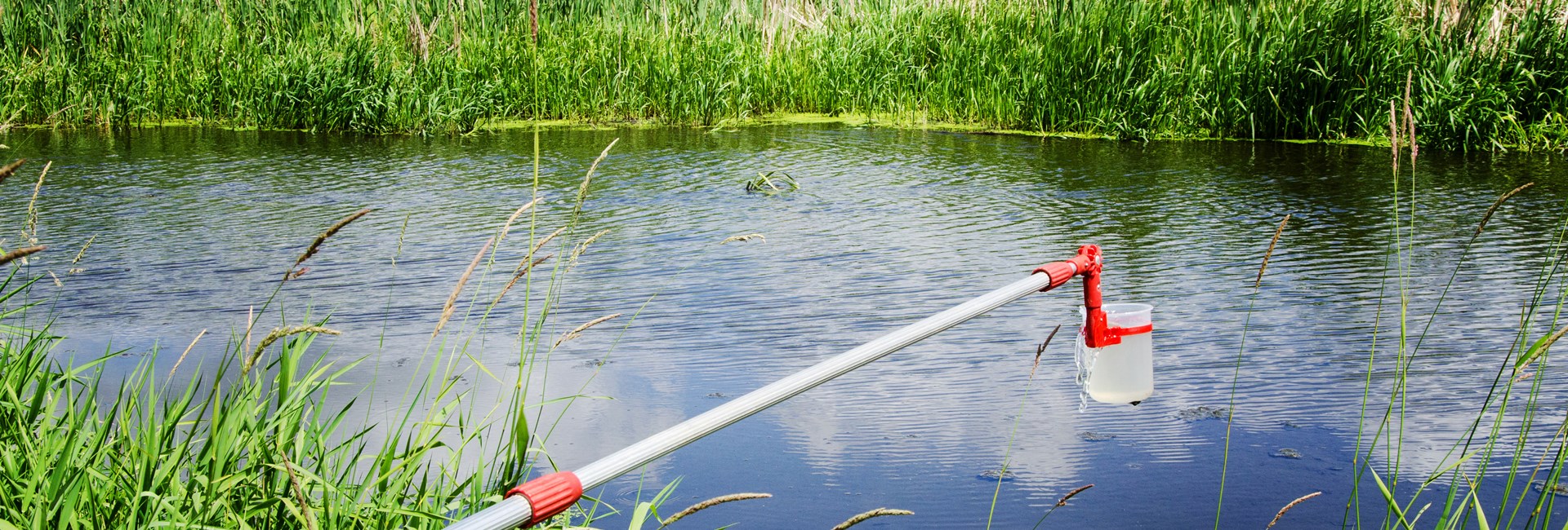 Algal toxins water sampling